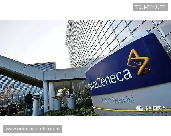 远华国际：引领全球商务发展的新标杆，打造多元化国际合作平台