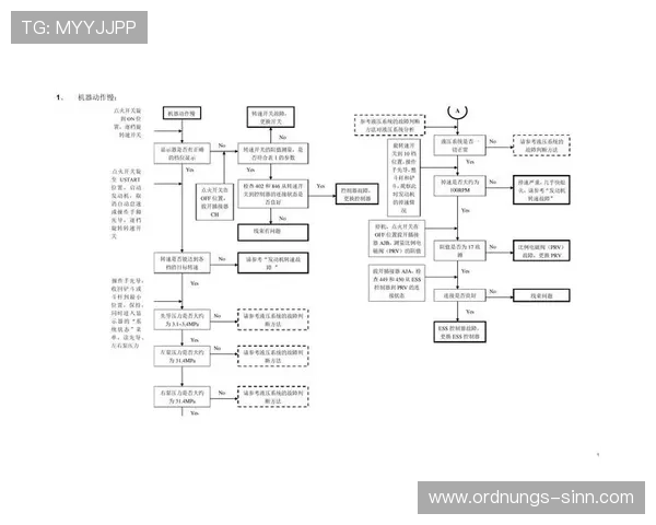 遇到进入欧博官方网站打不开时的详细排查流程和解决方案